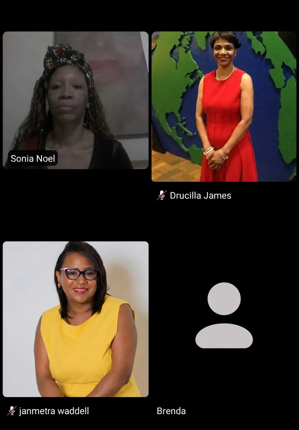 Women participating in a virtual panel conversation